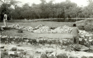 Construção I Parque Nacional de Brasília