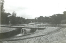 Piscina I Parque Nacional de Brasília