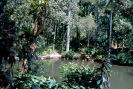 Parque Nacional da Tijuca | RJ