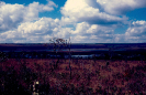 Paisagem |Cerrado destruido