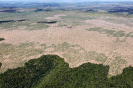 Operação Hymenaea | Buriticupu, Maranhão